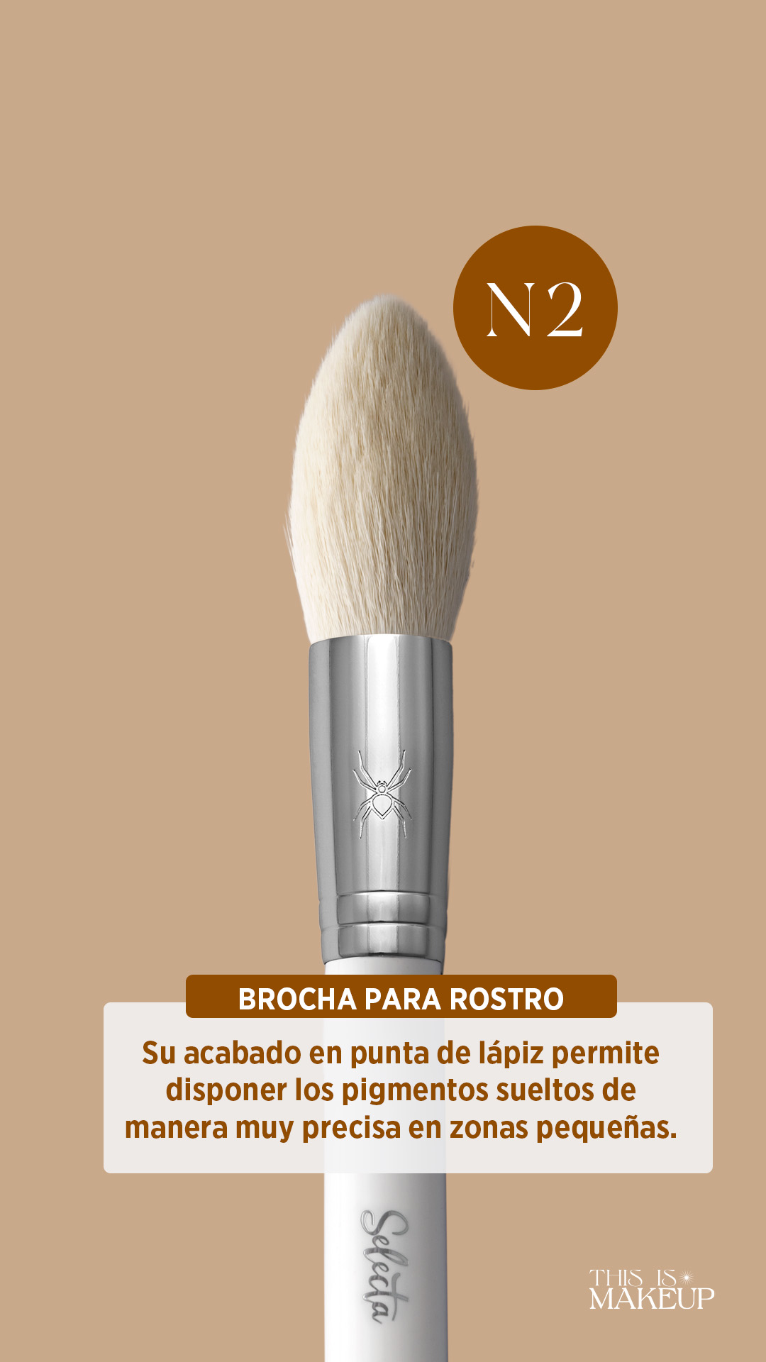 Kit de brochas